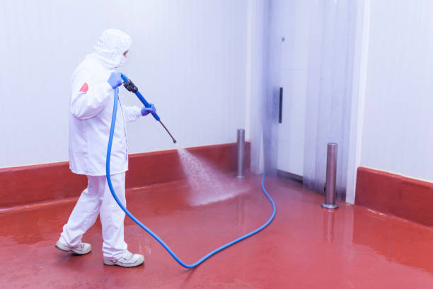 Best Solar Panel Cleaning  in Yale, OK